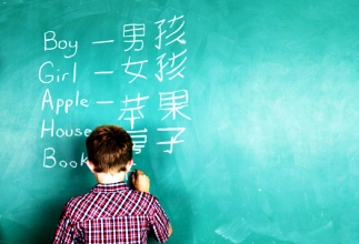 Challenges to Bilingual Education